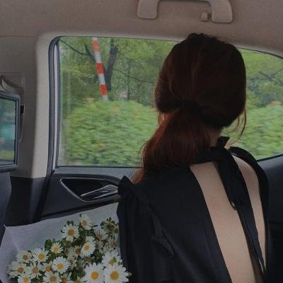 家有悍妻爹爹马甲藏不住